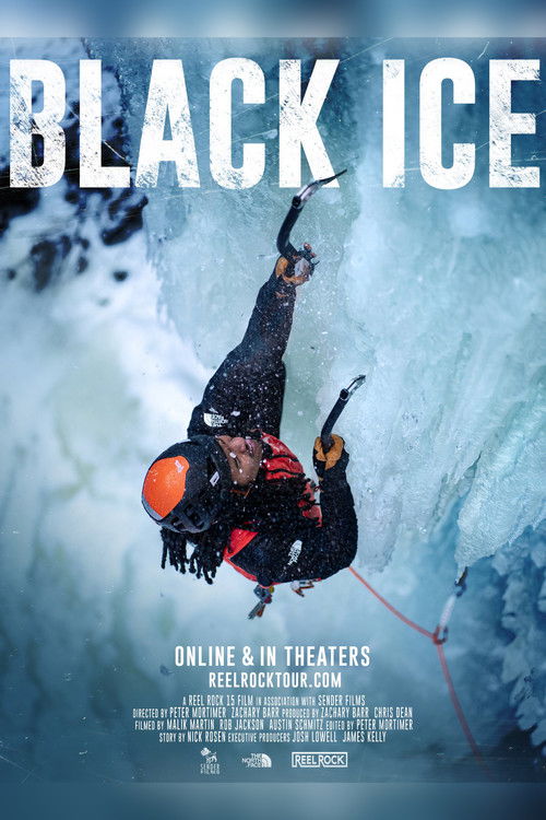 Black Ice (2020) poster