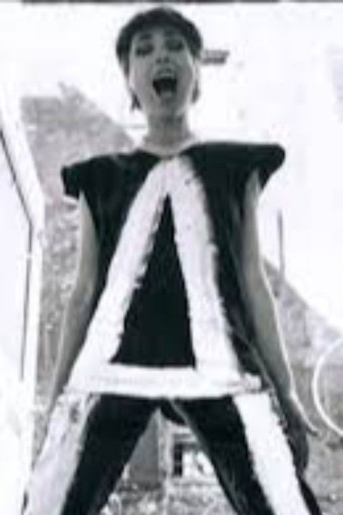 IT’S A to Z: The ART OF ARLEEN SCHLOSS (2024) poster