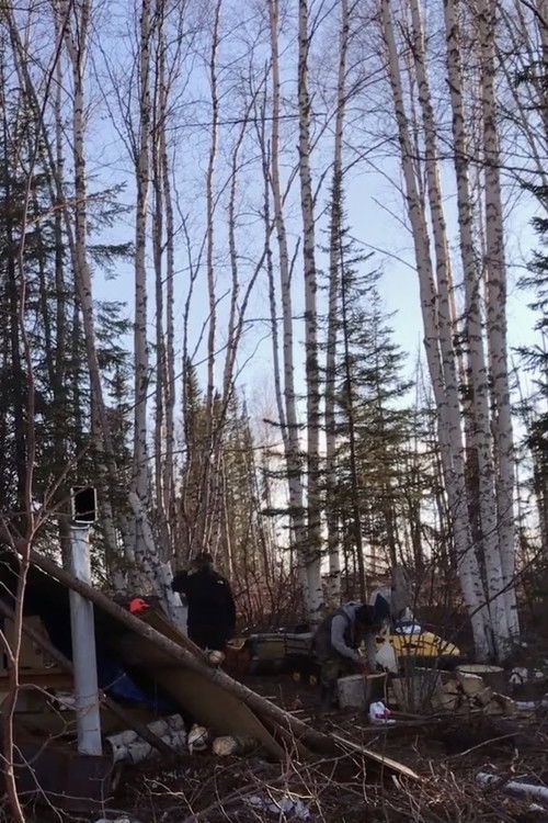 K'i Tah Amongst the Birch (2020) poster