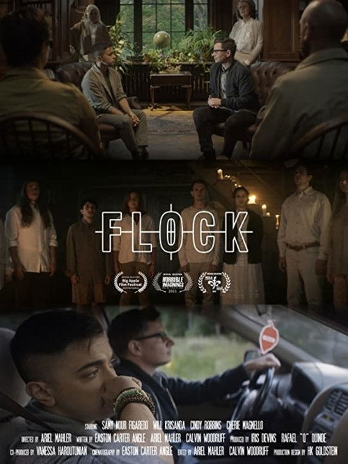 Flock (2020) poster