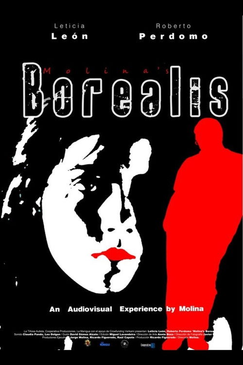 Molina's Borealis (2013) poster