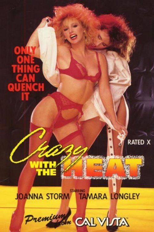 Crazy with the Heat (1986) poster