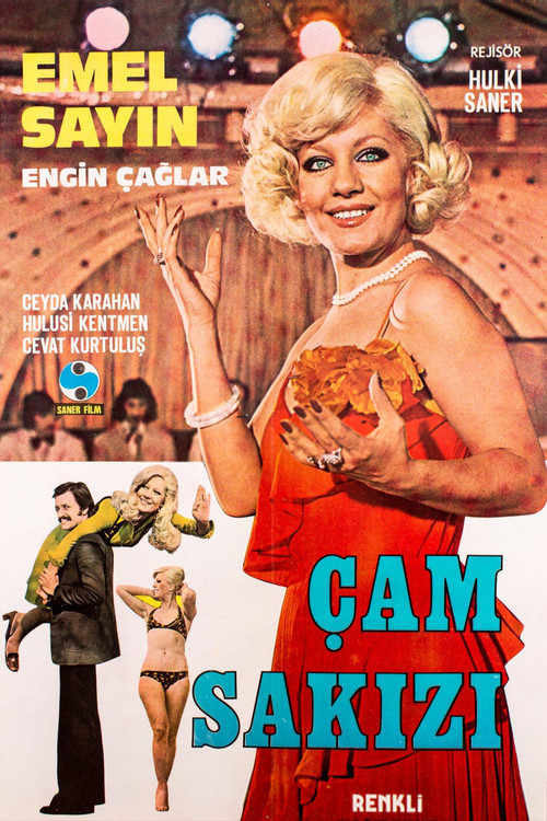 Çam Sakızı (1974) poster