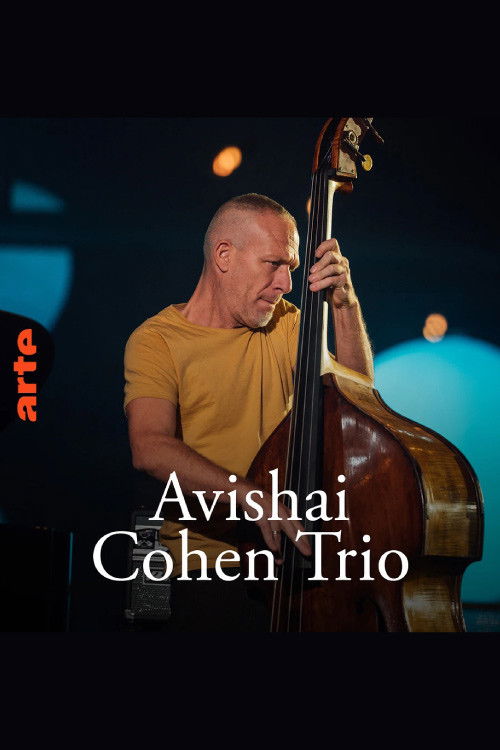 Avishai Cohen Trio – Shifting sands (2021) poster