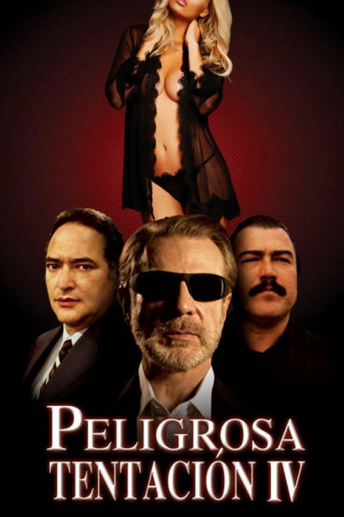 Peligrosa tentación IV (2017) poster