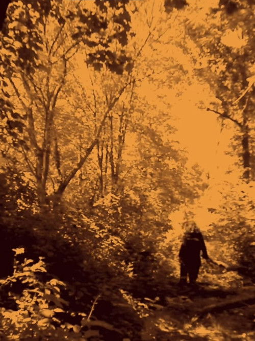 Tuesday Sun (2016) poster