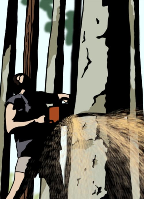 Chainsaw (2007) poster