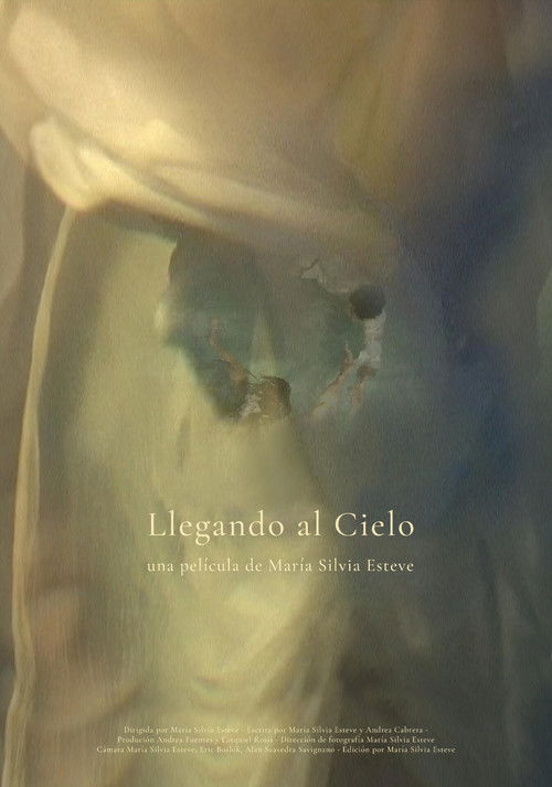 Llegando al cielo (2010) poster