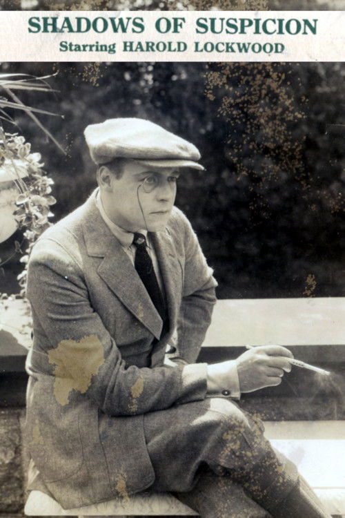 Shadows of Suspicion (1919) poster