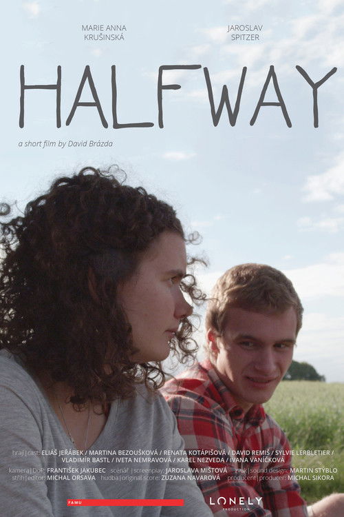 Na půli cesty (2016) poster