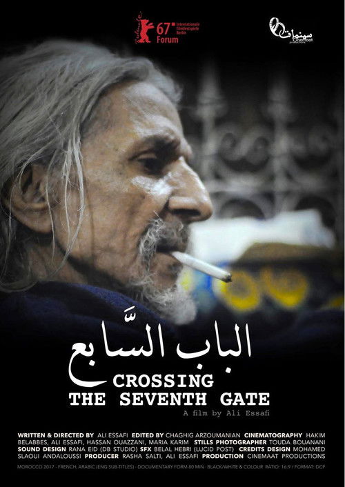 Crossing the Seventh Gate (2017) poster