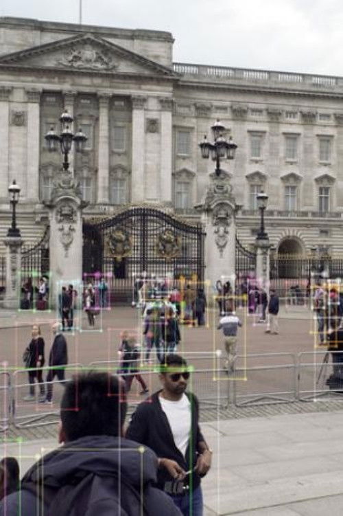 Ostrich Theory (2020) poster