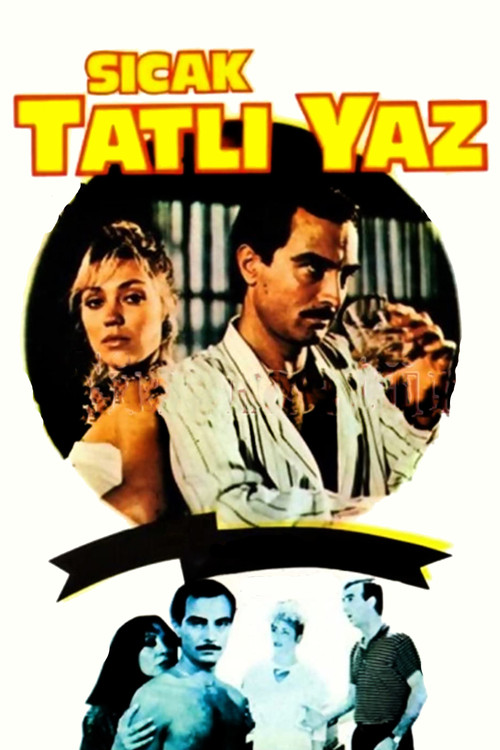 Sıcak Tatlı Yaz (1986) poster