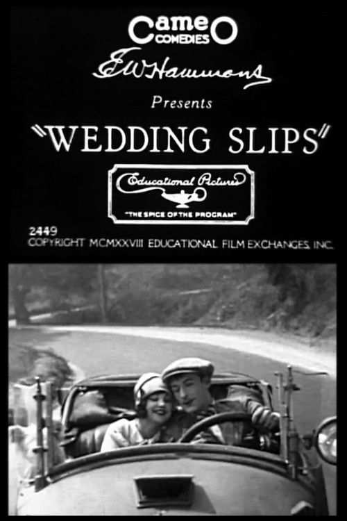 Wedding Slips (1928) poster