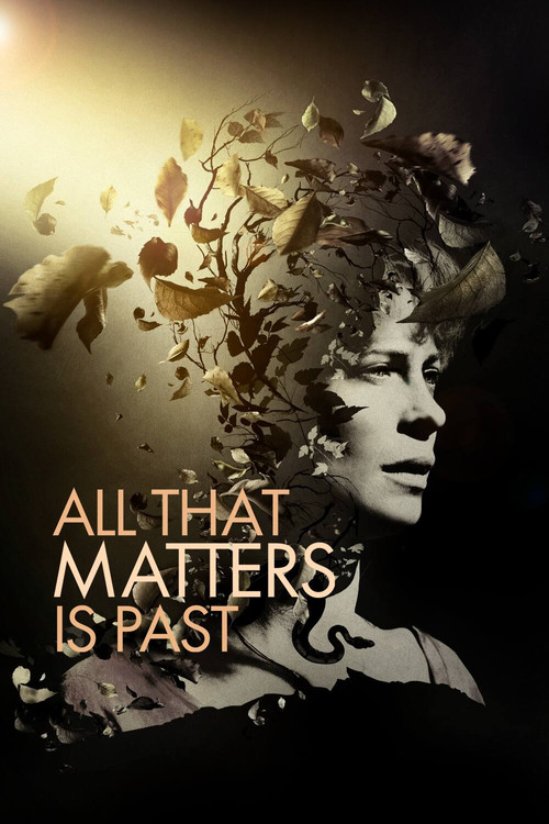 All That Matters Is Past (2012) poster
