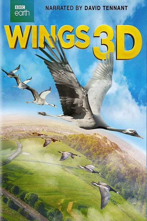 Wings 3D (2014) poster