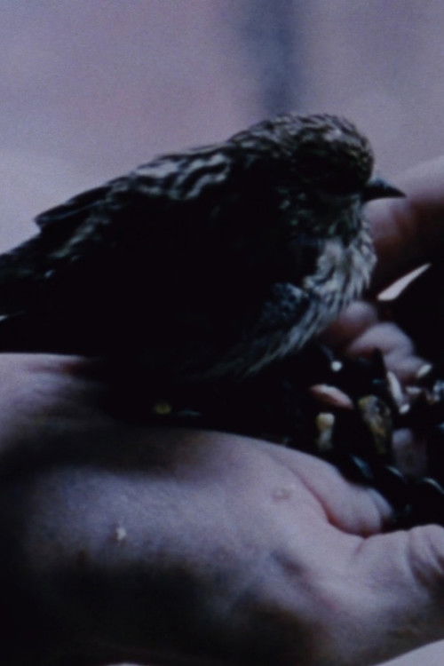 Gathering Moss (2018) poster