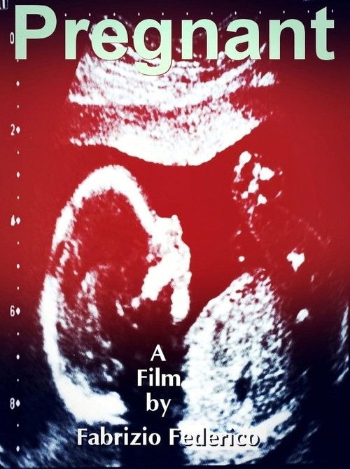 Pregnant (2015) poster
