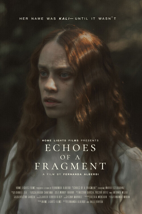 Echoes of a Fragment (2025) poster
