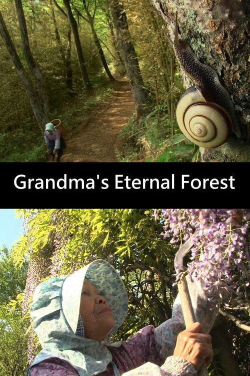 Grandma's Eternal Forest (2013) poster