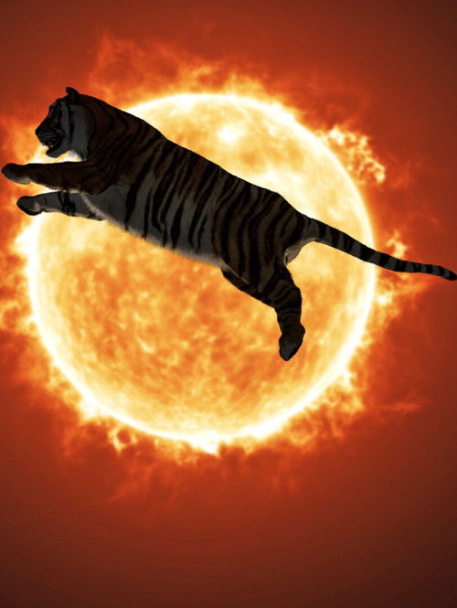 One or Several Tigers (2017) poster