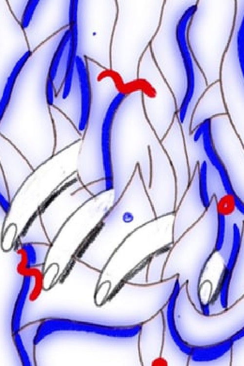 PanPan (2024) poster