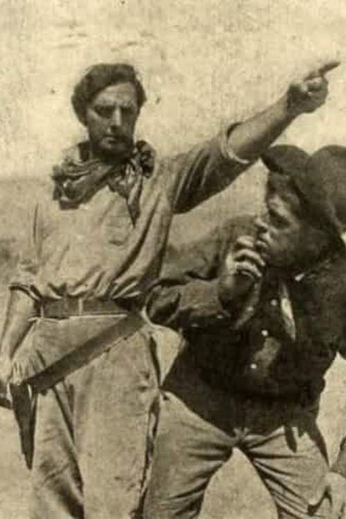 American Born (1913) poster