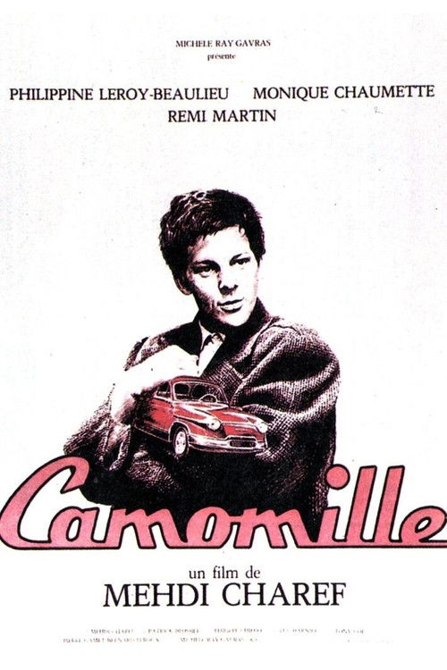 Camomille (1988) poster