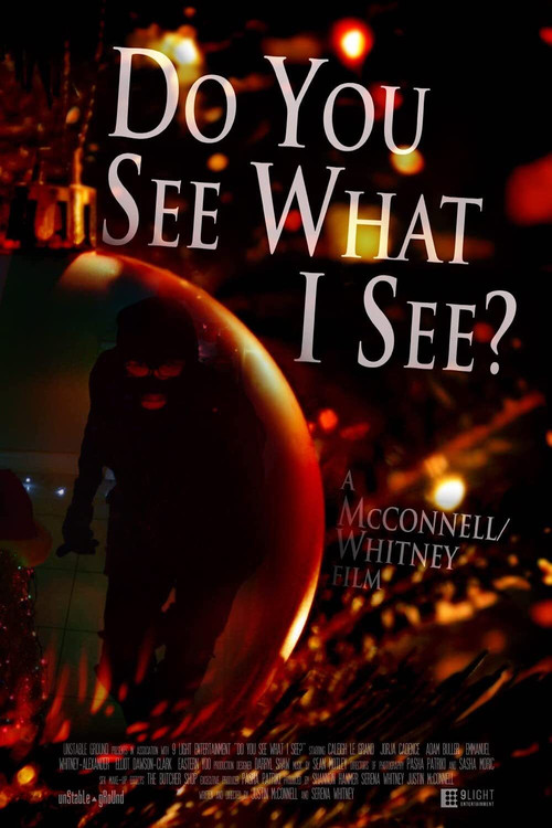 Do You See What I See? (2016) poster