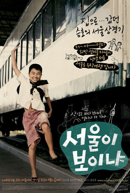 서울이 보이냐 (2008) poster
