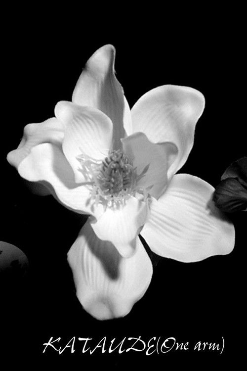 Kataude (2008) poster