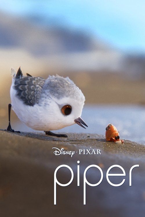 Piper (2016) poster