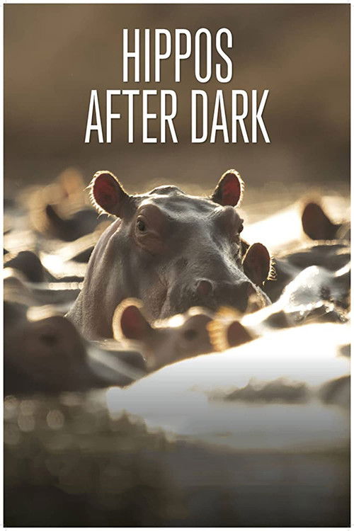 Hippos after Dark (2015) poster