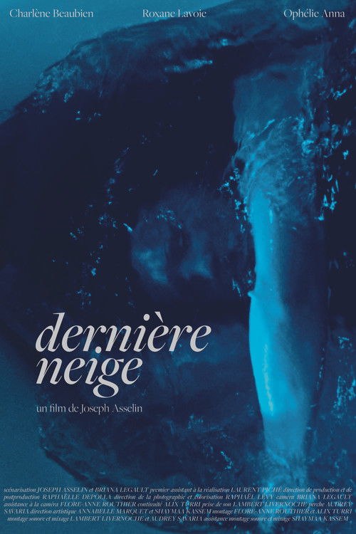Dernière neige (2025) poster