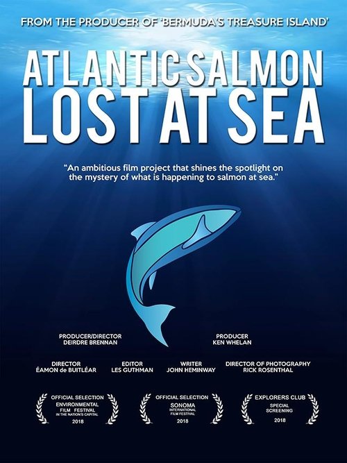 Atlantic Salmon: Lost at Sea (2018) poster