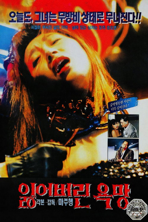 잃어버린 욕망 (1994) poster