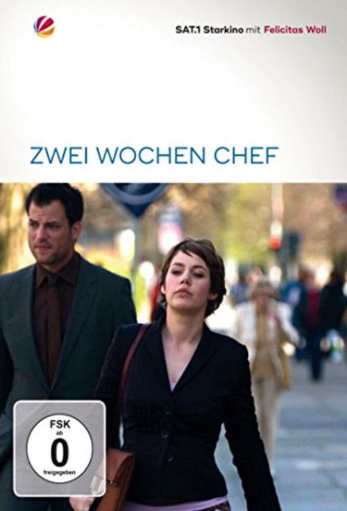 Zwei Wochen Chef (2007) poster