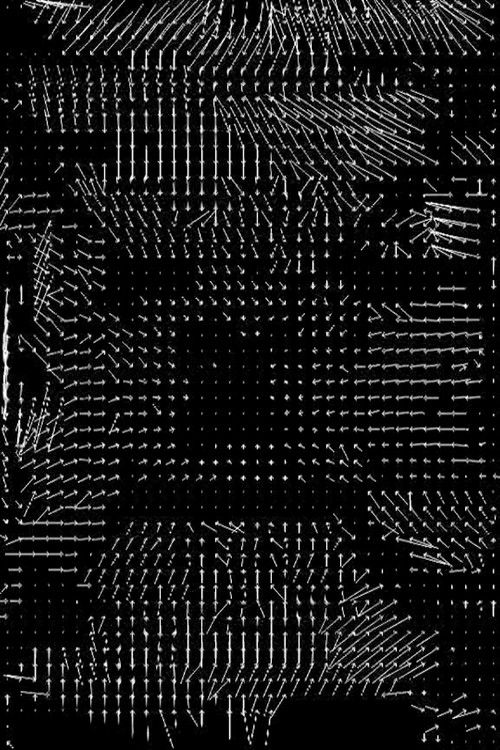 Lossless #4 (2008) poster