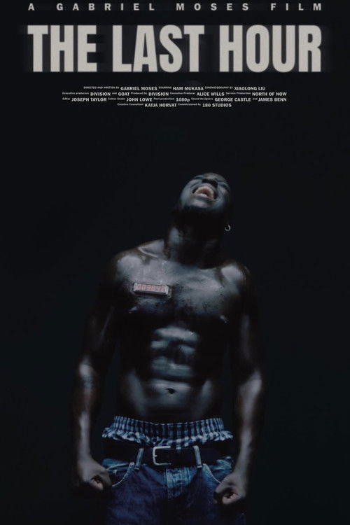 The Last Hour (2025) poster