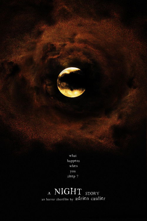 A Night Story (2019) poster
