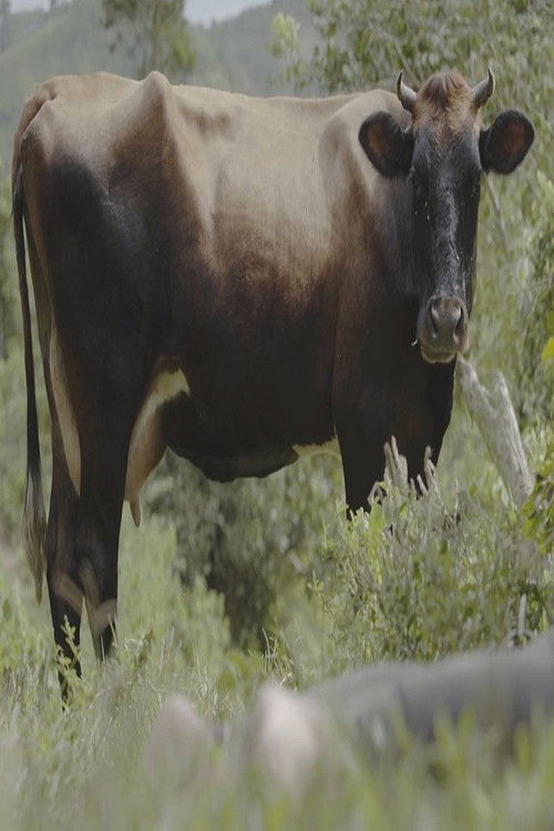 La josca (2020) poster