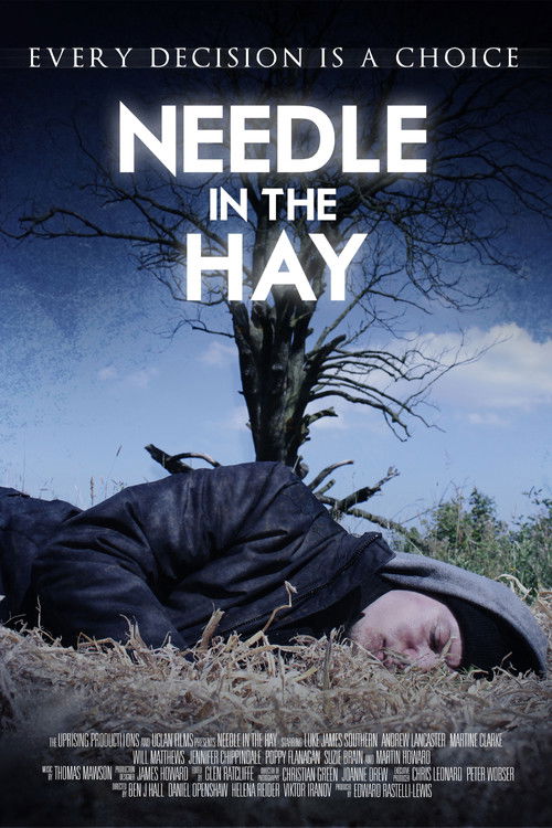 Needle in the Hay (2011) poster