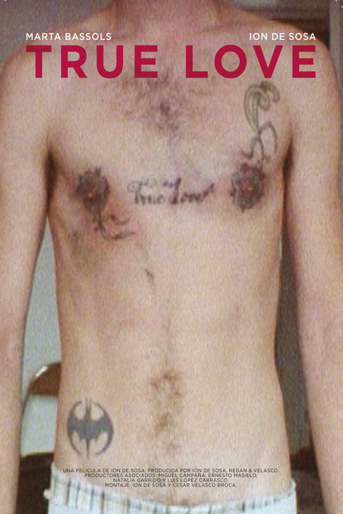 True Love (2011) poster