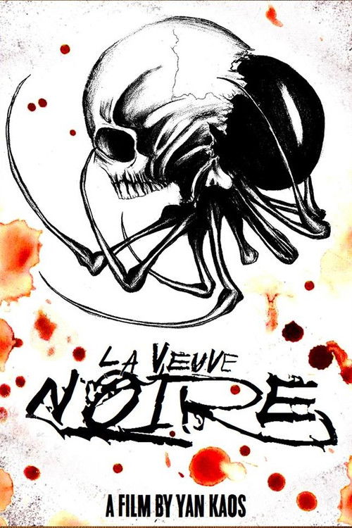 La Veuve Noire (2016) poster