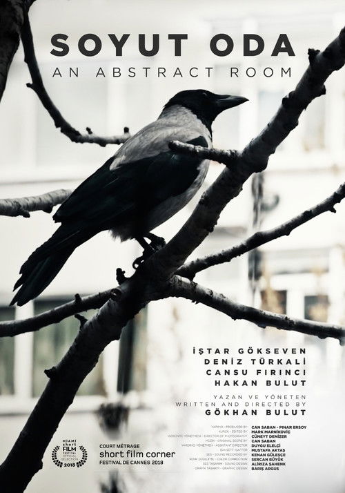 An Abstract Room (2018) poster