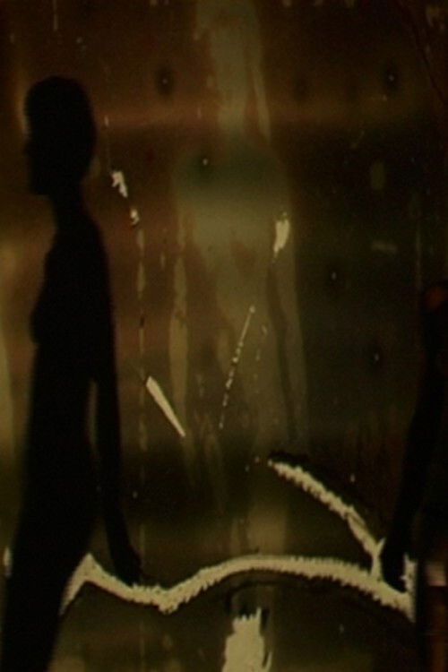 Danse Chronophotographique (2007) poster