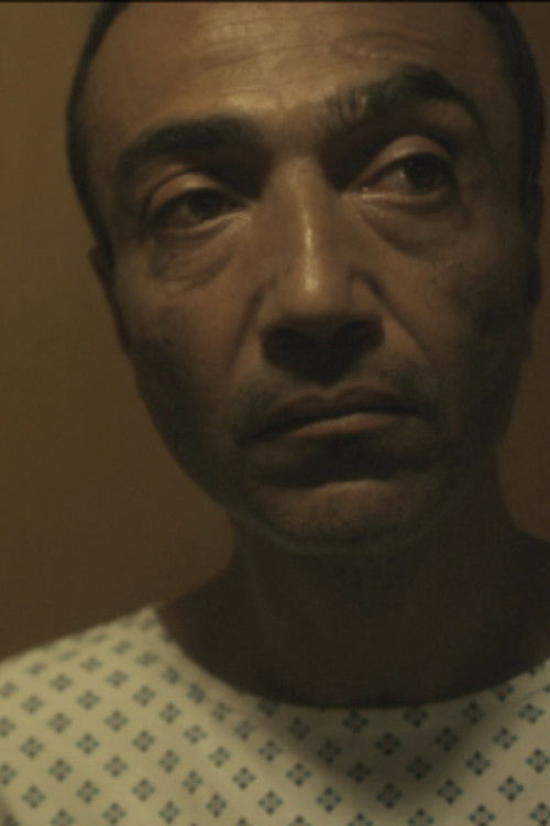 Muller’s canal (2012) poster