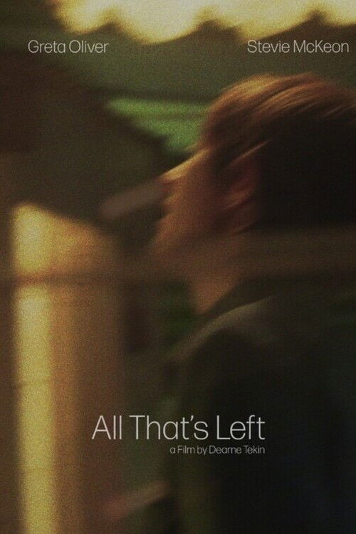 All That’s Left (2024) poster