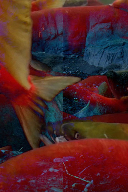 Eat up, Bear! (2022) poster