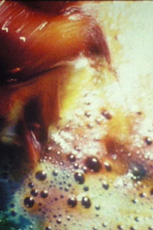 Jewel Face (1964) poster